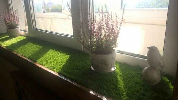 Lengvas kilimėlis balkone su augalu ir švelnia šviesa